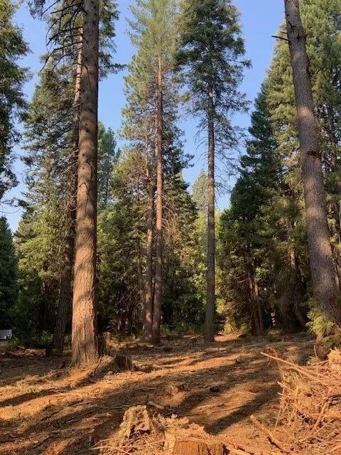 0 Mountain Meadowcorinthians, Shingletown, CA 96088 photo 8