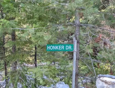 9480 Honker Dr, Shingletown, CA 96088