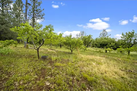 21110 Rolling Hills Rd, Manton, CA 96059 photo 27