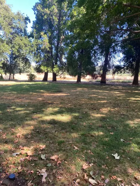 6190 Calin Ln, Anderson, CA 96007 photo 42