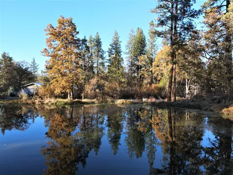 20021 Cassel Fall River Rd, Cassel, CA 96016 photo 3