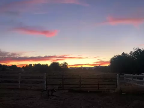 7310 Churn Crk Rd, Redding, CA 96002 photo 30