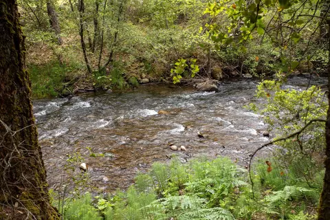 Clover Creek Rd, Whitmore, CA 96096 photo 5