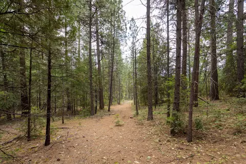 Clover Creek Rd, Whitmore, CA 96096 photo 6