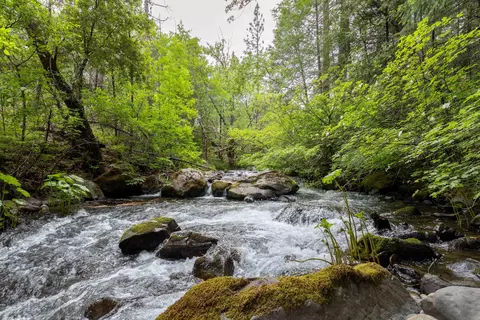 Clover Creek Rd, Whitmore, CA 96096