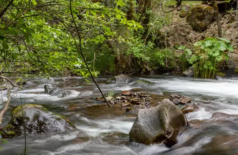 Clover Creek Rd, Whitmore, CA 96096 photo 9