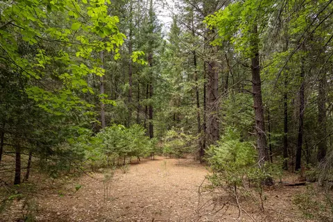 Clover Creek Rd, Whitmore, CA 96096 photo 4