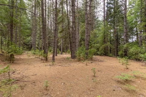Clover Creek Rd, Whitmore, CA 96096 photo 3