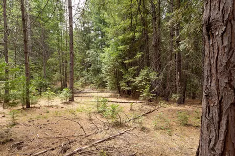 Clover Creek Rd, Whitmore, CA 96096 photo 7