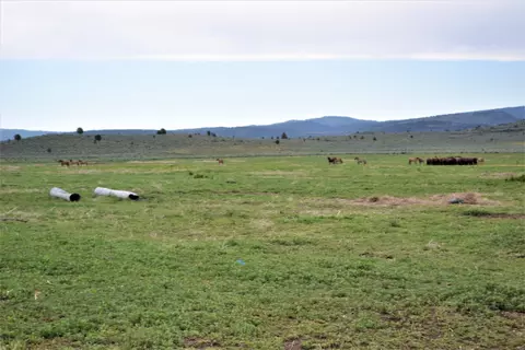View/Area - 528-125 Mitchell Rd, Termo, CA 96132 photo 9 of 12