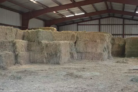 Exterior - 528-125 Mitchell Rd, Termo, CA 96132 photo 9 of 9