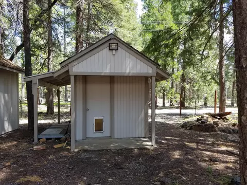 34760 Side Bottom Rd, Shingletown, CA 96088 photo 43