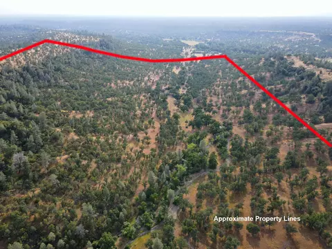 Racoon Way, Millville, CA 96069