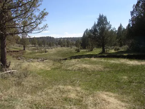 Co Rd 88, Adin, CA 96006 photo 7