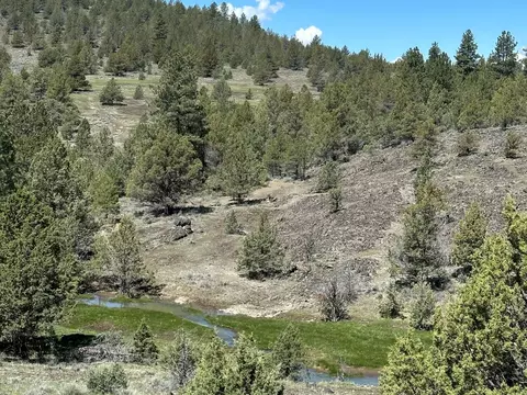 Co Rd 88, Adin, CA 96006 photo 8
