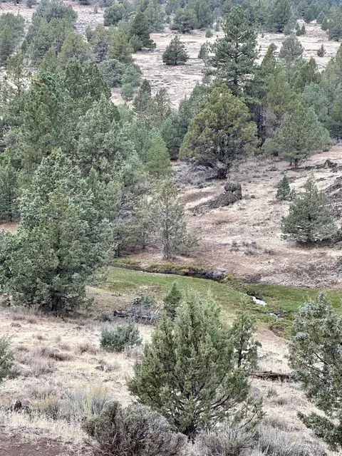 Co Rd 88, Adin, CA 96006 photo 11