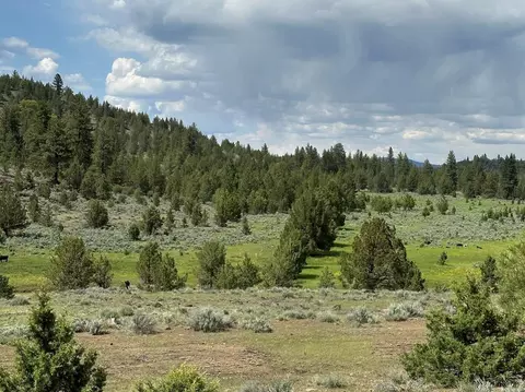Co Rd 88, Adin, CA 96006 photo 14