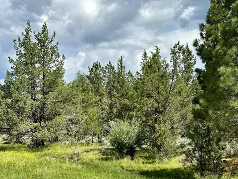Co Rd 88, Adin, CA 96006 photo 12