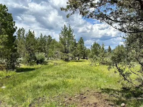 Co Rd 88, Adin, CA 96006 photo 9