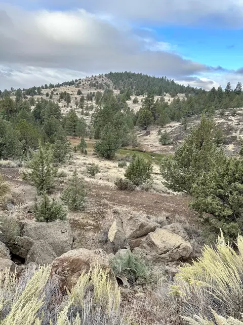 Co Rd 88, Adin, CA 96006 photo 15