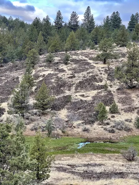 Co Rd 88, Adin, CA 96006 photo 10