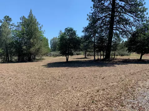Shoshoni Loop, Fall River Mills, CA 96028 photo 6