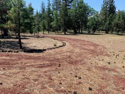 Shoshoni Loop, Fall River Mills, CA 96028 photo 7