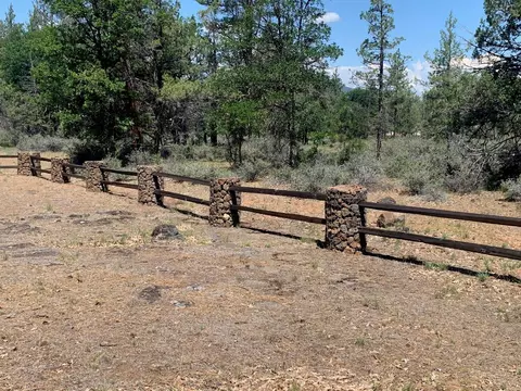 Shoshoni Loop, Fall River Mills, CA 96028 photo 10