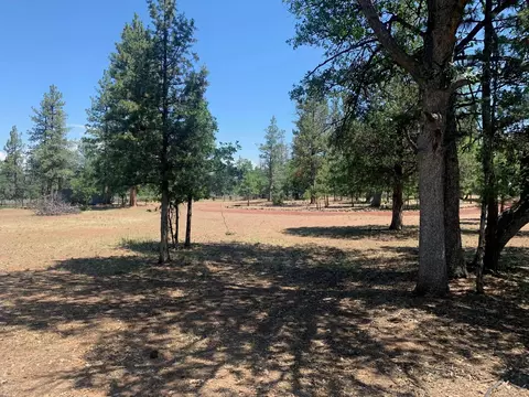Shoshoni Loop, Fall River Mills, CA 96028 photo 13