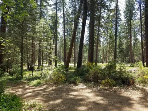 7110 Ravens Roost Rd, Shingletown, CA 96088 photo 15