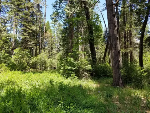 7110 Ravens Roost Rd, Shingletown, CA 96088 photo 13