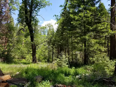 7110 Ravens Roost Rd, Shingletown, CA 96088 photo 14