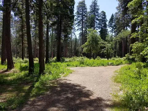 7110 Ravens Roost Rd, Shingletown, CA 96088 photo 12