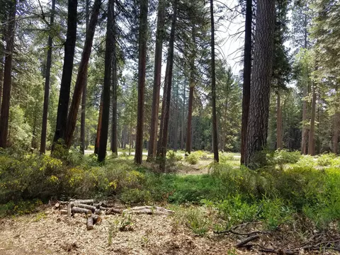 7110 Ravens Roost Rd, Shingletown, CA 96088 photo 11