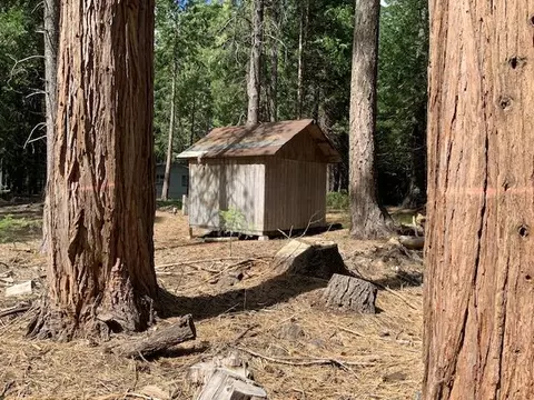 Undisclosed, Shingletown, CA 96088 photo 9