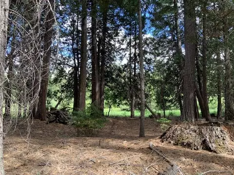 Undisclosed, Shingletown, CA 96088 photo 5