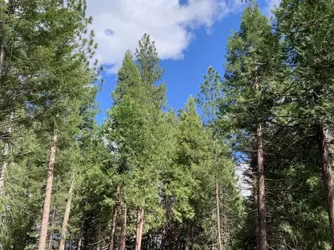 Undisclosed, Shingletown, CA 96088 photo 3