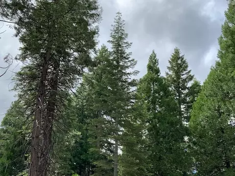 Undisclosed, Shingletown, CA 96088 photo 7