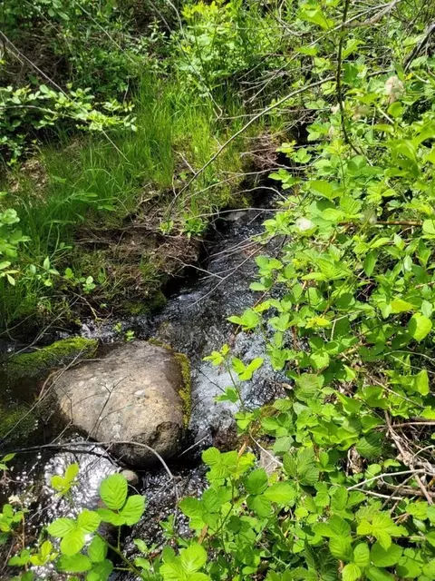 40 Acres, Round Mountain, CA 96084 photo 7