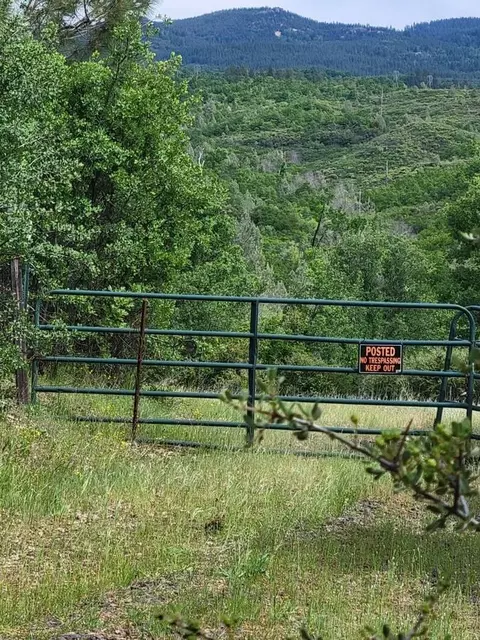 40 Acres, Round Mountain, CA 96084 photo 4