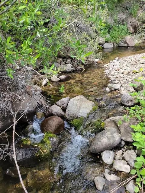 40 Acres, Round Mountain, CA 96084 photo 2