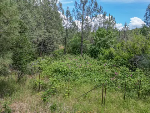 40 Acres, Round Mountain, CA 96084 photo 22