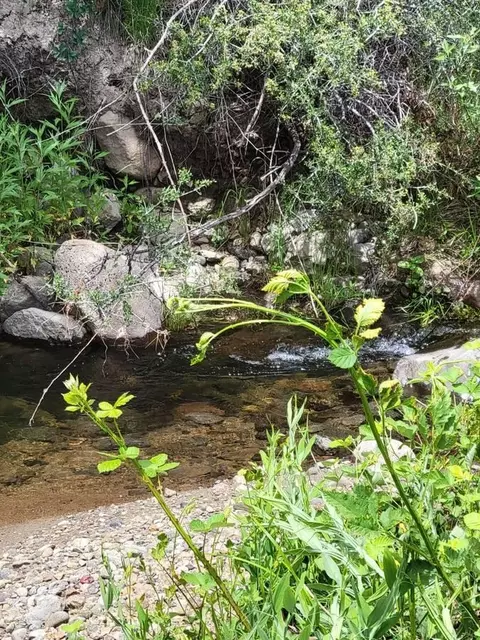 40 Acres, Round Mountain, CA 96084 photo 5