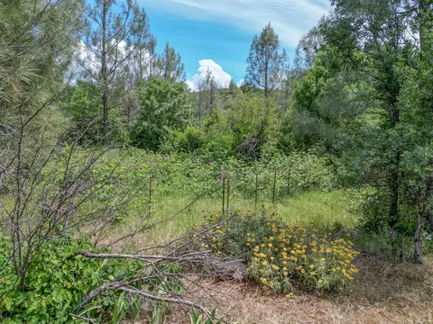 40 Acres, Round Mountain, CA 96084 photo 21