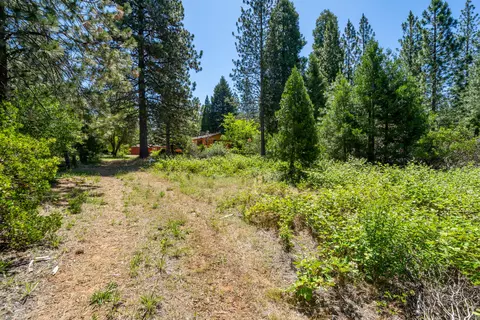 30802 100 Rd, Shingletown, CA 96088 photo 19