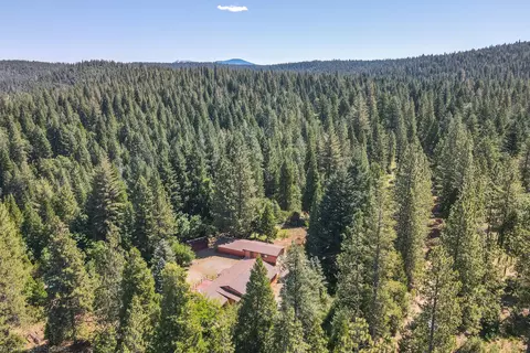 30802 100 Rd, Shingletown, CA 96088 photo 44