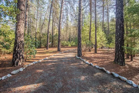 134 Chimariko Rd, Junction City, CA 96048 photo 84