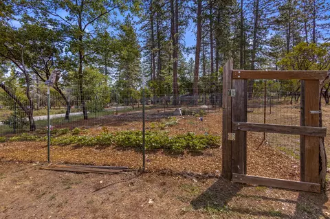 28269 Alpine Way, Shingletown, CA 96088 photo 6