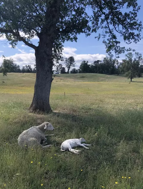 East Stillwater, Redding, CA 96003