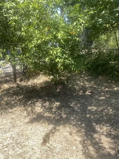 2800 Henderson Rd, Redding, CA 96002 photo 20
